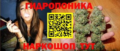 гидра Шахты