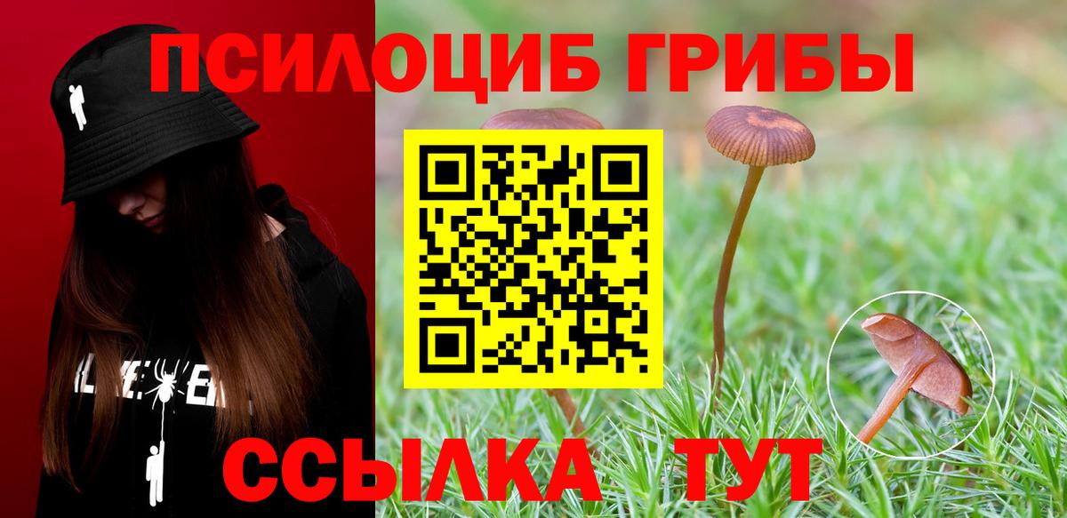 Псилоцибиновые грибы Magic Shrooms  Галлюциногенные грибы прущие грибы  Вышний Волочёк  Вход с VPN 